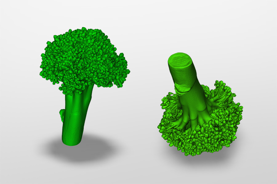 Brocolli 3D scans