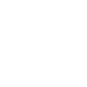 Artec Spider II